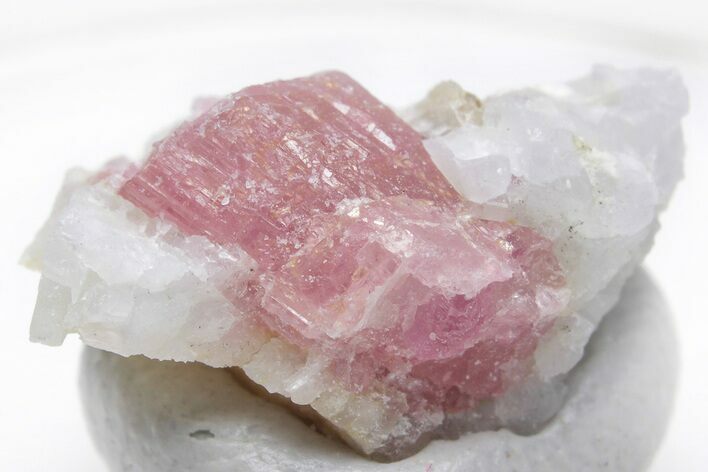 Pink Tourmaline (Rubellite) Crystal - Brazil #221610